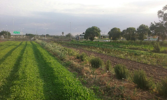 Andino, en Santa Fe, habilitó agroecología en periurbanos ¿ Y uso de biológicos?